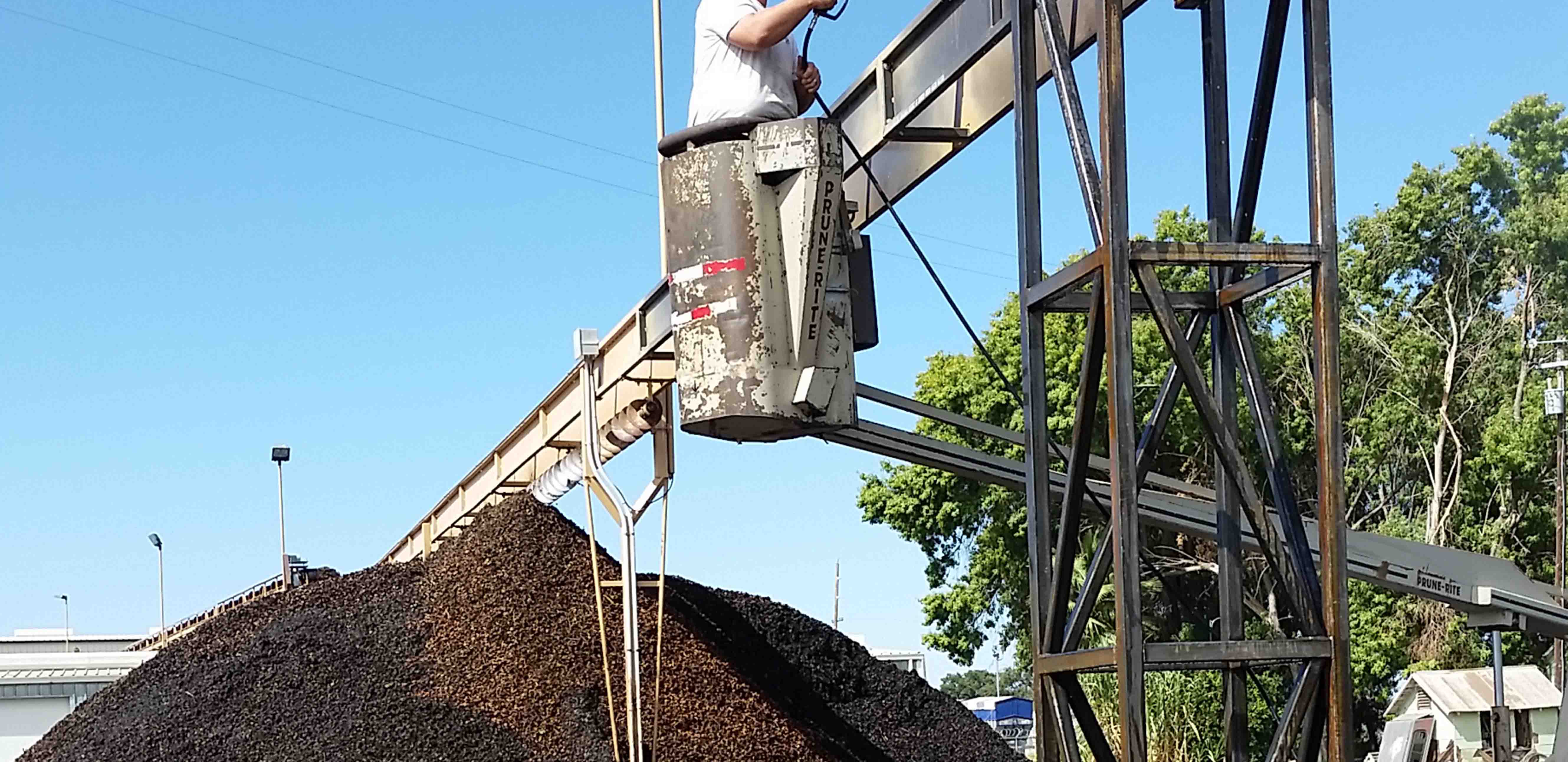 Picture of installation of conveyor system.